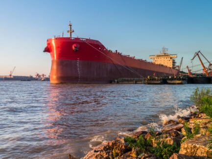 {{brizy_dc_image_alt entityId=