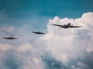 {{brizy_dc_image_alt entityId=