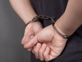 {{brizy_dc_image_alt entityId=